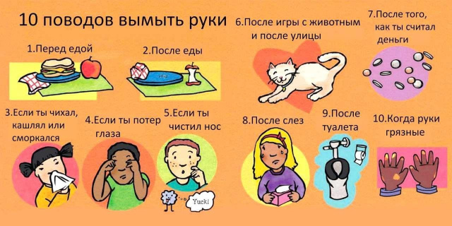  - МБОУ Гашунская СОШ №4